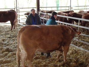 agriculture-elevage-formation