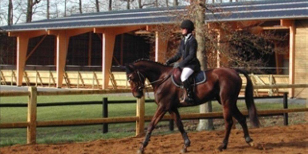 Comment devenir moniteur d'activites equestres