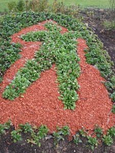 Logo MFR réalisé en végétaux par la MFR de Triac Lautrait