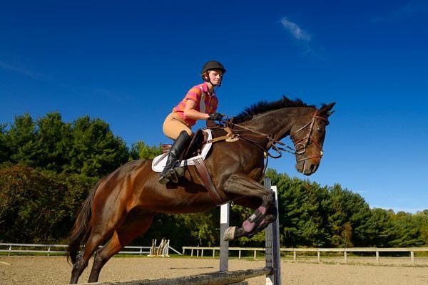 Bac Pro Metiers du cheval charente