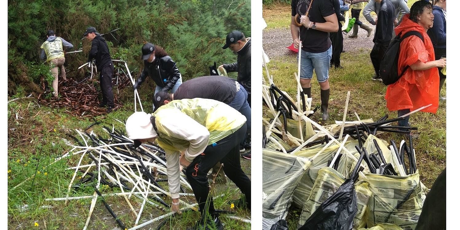 Action de collecte de déchets par les élèves de la MFR