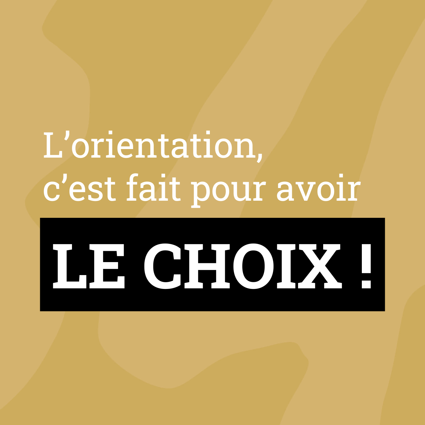 Classes de 4ème / 3èmes Découverte des métiers