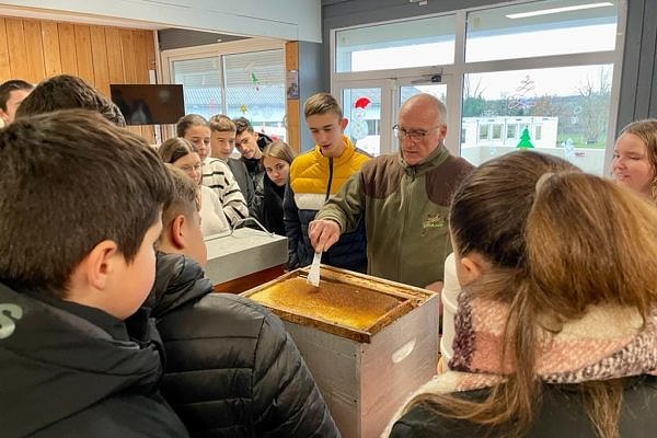 489784953_1254293443050755_2446045431627707765_n